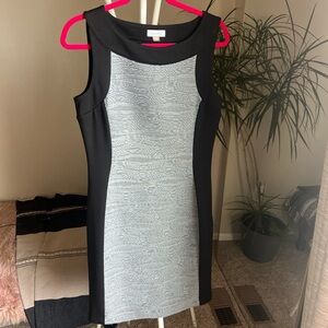 Calvin Klein Black and Silver Midi Dress